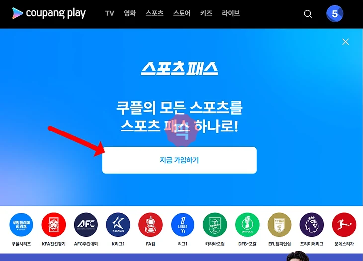 쿠팡플레이 스포츠패스 가입 방법 및 구독 요금 총정리