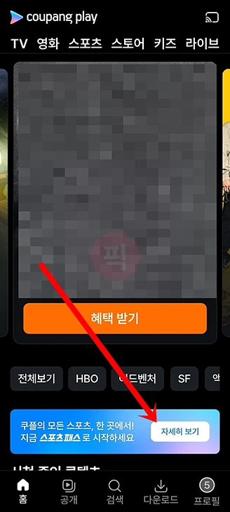 쿠팡플레이 스포츠패스 가입 방법 및 구독 요금 총정리