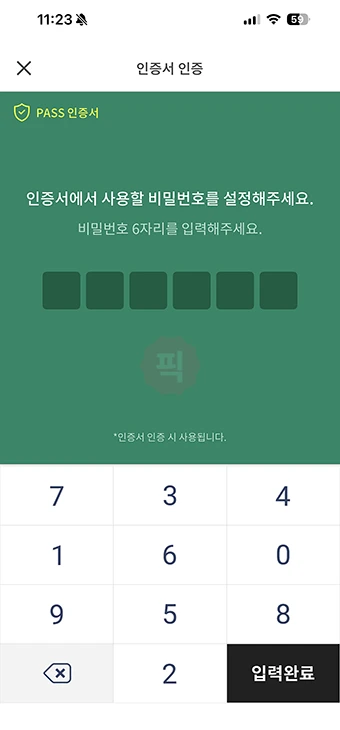 PASS 인증서 발급 받는법, 비용은 무료, 발급 오류 해결 방법까지 정리