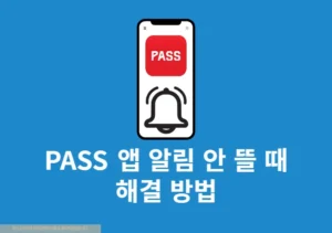 PASS 앱 알림 안 뜰 때 해결 방법, 알림 설정 한 번에 정리