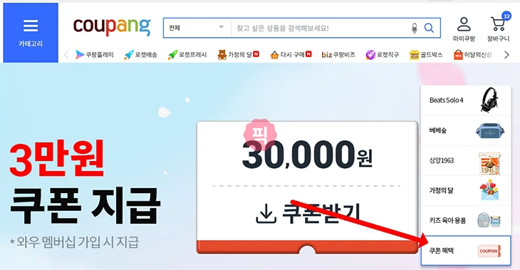 쿠팡 3만원 쿠폰 뜬 이유, 와우 멤버십 해지 후 다시 가입한 후기