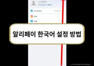 알리페이 한국어 설정 방법, 중국어로 나올 때 변경하는 법