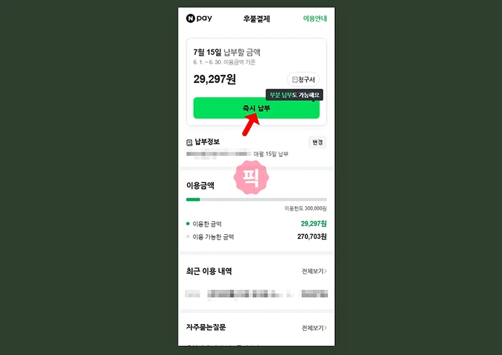 네이버페이 후불결제 완납 방법, 결제일 전 즉시 납부하기