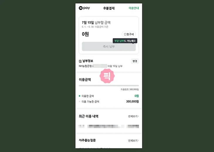 네이버페이 후불결제 완납 방법, 결제일 전 즉시 납부하기