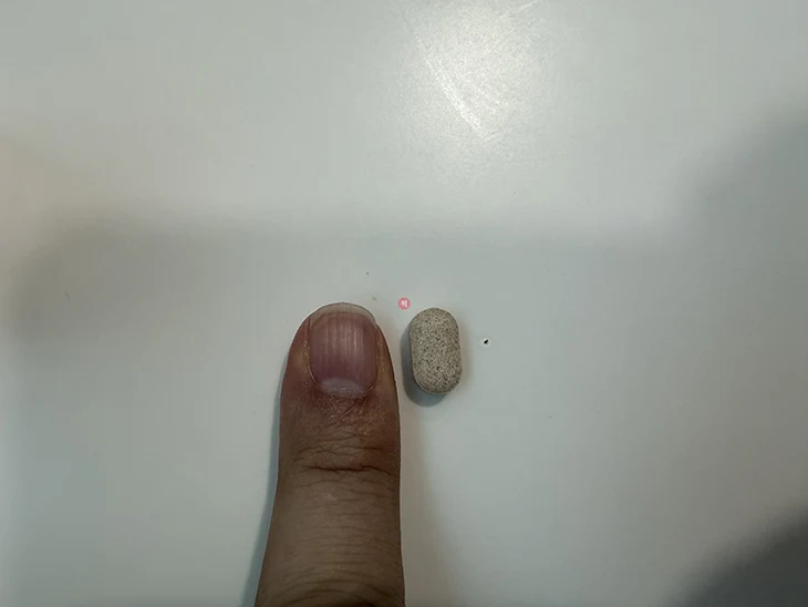 랩온랩 맥주효모 비오틴 10000 6개월 후기, 성분과 복용법 정리